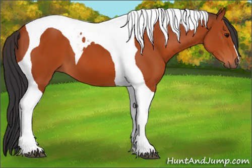 Horse Color:Bay Tobiano 