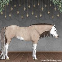 Horse Color:Classic Champagne Roan Splash 