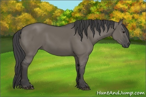 Horse Color:Smoky Grullo Rabicano