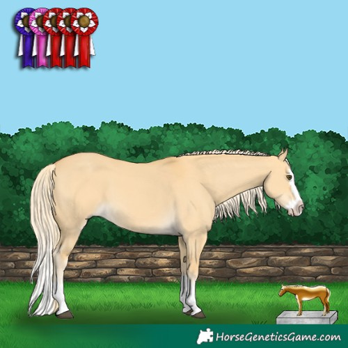 Horse Color:Palomino Dun Splash