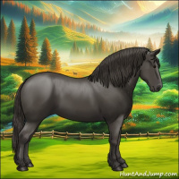 Horse Color:Smoky Black