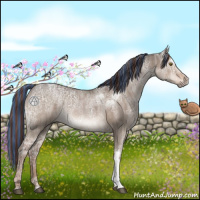 Horse Color:Painted Liver Red Dun Ice 