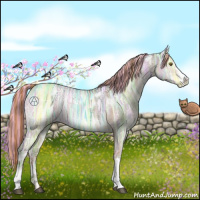 Horse Color:Painted Liver Red Dun Ice 