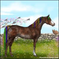 Horse Color:Painted Liver Chestnut Ice 