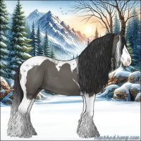 Horse Color:Grullo Splash Tobiano 