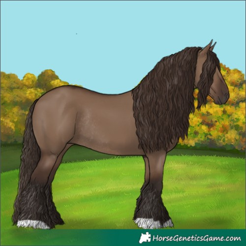 Horse Color:Liver Red Dun Rabicano