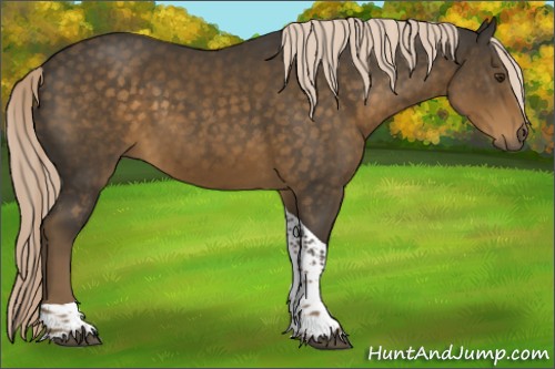 Horse Color:Chocolate Palomino Tobiano 