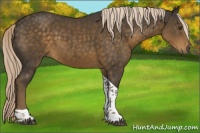 Horse Color:Chocolate Palomino Tobiano