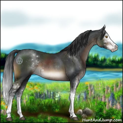Horse Color:Brown Sabino 