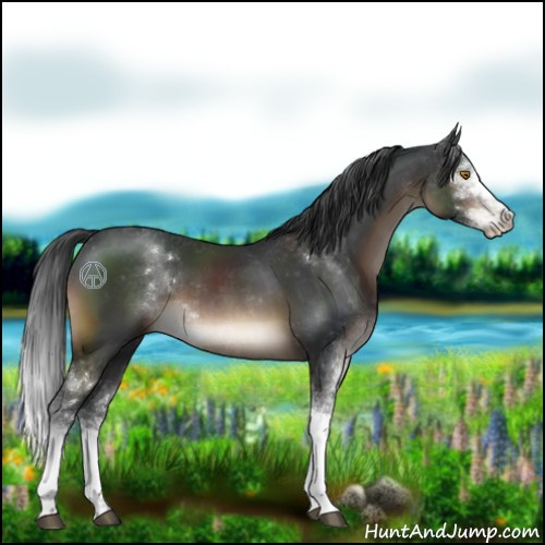 Horse Color:Brown Sabino