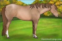 Horse Color:Liver Chestnut Pearl Tobiano 