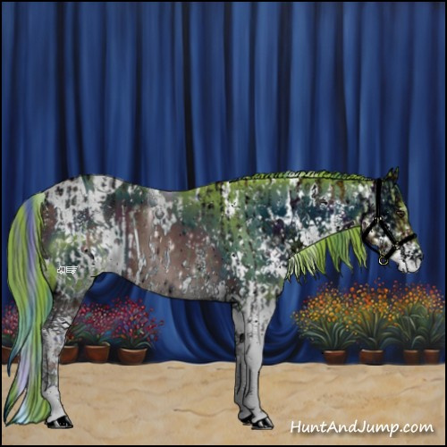 Horse Color:ERROR: UNKNOWN ANOMALY and ERROR: UNKNOWN ANOMALY