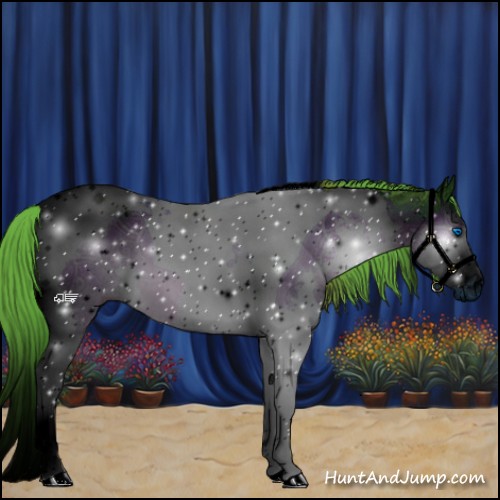 Horse Color:ERROR: UNKNOWN ANOMALY