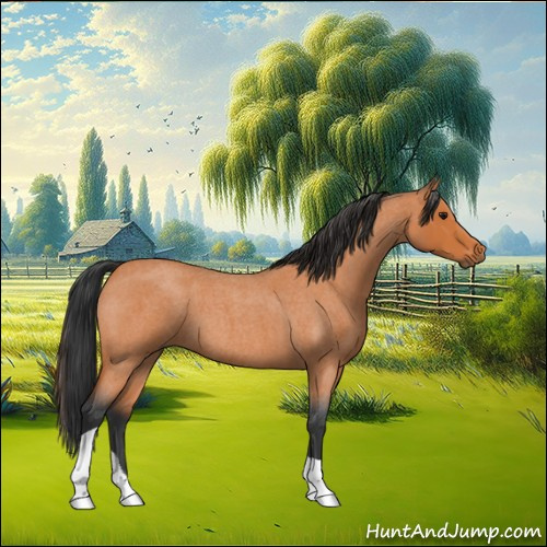 Horse Color:Bay Roan Tobiano 