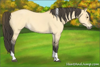 Horse Color:Buckskin Roan Dun Tobiano 
