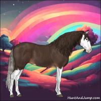 Horse Color:Liver Chestnut Splash 