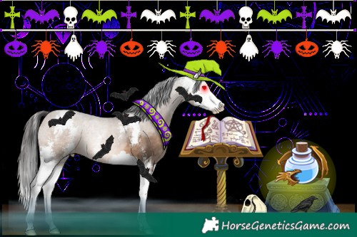 Horse Color:Brown Dun Sabino Splash 