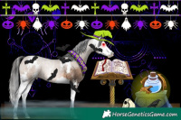 Horse Color:Brown Dun Sabino Splash