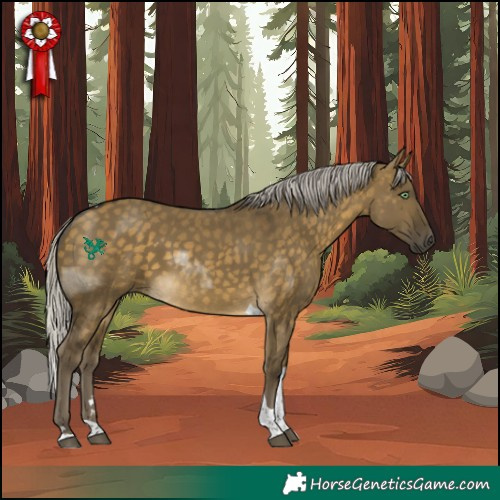 Horse Color:Silver Buckskin Dun Tobiano 