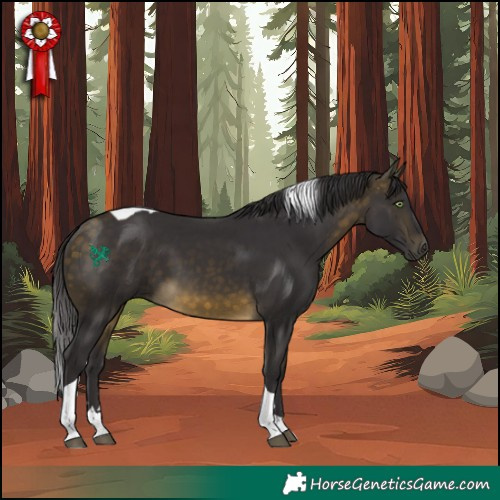 Horse Color:Buckskin Tobiano 