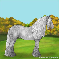 Horse Color:Gold Cream Champagne Chinchilla Ice 