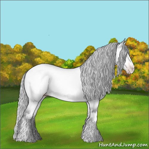Horse Color:White Spotted Silver Sable Cream Champagne Chinchilla Sabino