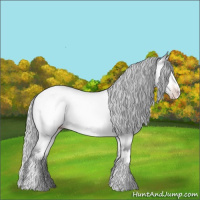 Horse Color:White Spotted Silver Sable Cream Champagne Chinchilla Sabino
