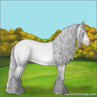 Horse Color:Silver Sable Champagne Chinchilla Sabino 