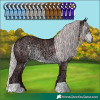 Horse Color:Chocolate Silver Smoky Black Chinchilla Ice