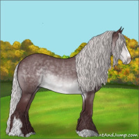 Horse Color:Chocolate Silver Brown Chinchilla Sabino 