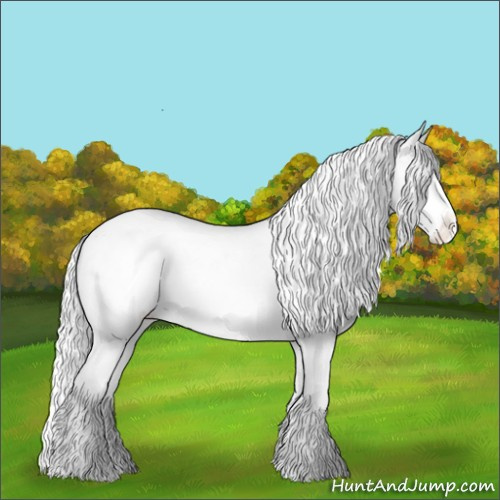 Horse Color:Silver Sable Champagne Chinchilla Varnish 