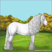 Horse Color:Silver Sable Champagne Chinchilla Appaloosa 