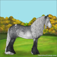 Horse Color:Silver Brown Chinchilla Varnish Rabicano 