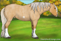 Horse Color:Silver Buckskin Roan Splash Frame 