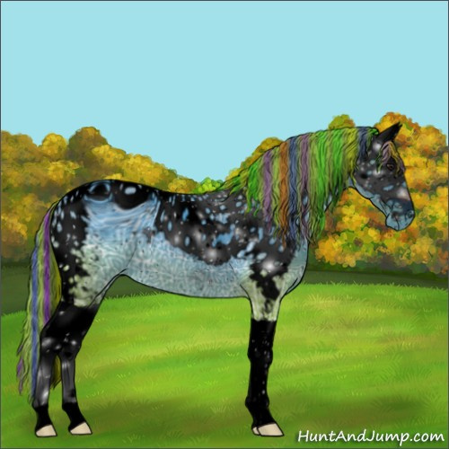 Horse Color:ERROR: UNKNOWN ANOMALY