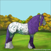 Horse Color:Watercolor Bay Ice Appaloosa