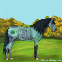 Horse Color:ERROR: UNKNOWN ANOMALY