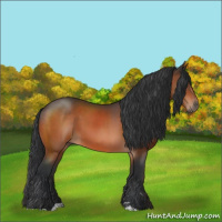 Horse Color:Brown Sabino