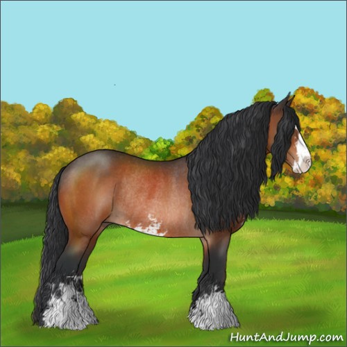 Horse Color:Brown Sabino Rabicano
