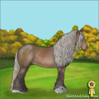 Horse Color:Silver Black Sabino Rabicano 