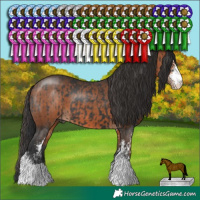 Horse Color:Black Sabino and Bay Sabino