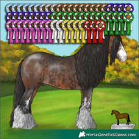 Horse Color:Black Sabino  and Bay Sabino 