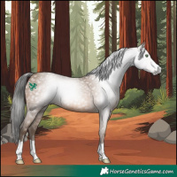 Horse Color:Gray Amber Champagne