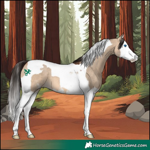 Horse Color:Bay Dun Sabino Splash Tobiano 