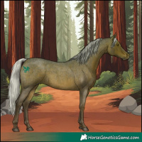 Horse Color:Silver Brown Roan Sabino 