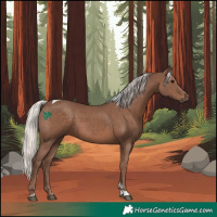 Horse Color:Silver Black Tobiano 