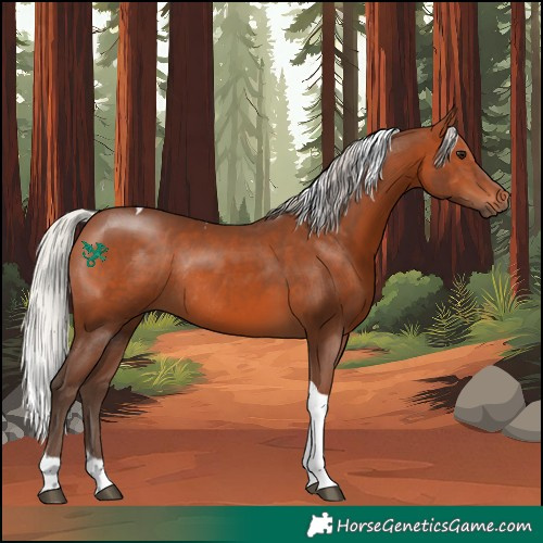 Horse Color:Silver Brown Tobiano Rabicano