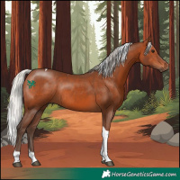 Horse Color:Silver Brown Tobiano Rabicano 
