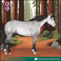 Horse Color:Platinum Buckskin Dun 