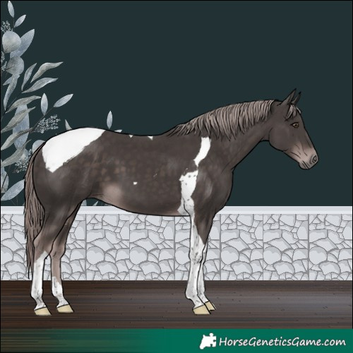 Horse Color:Platinum Liver Chestnut Tobiano 
